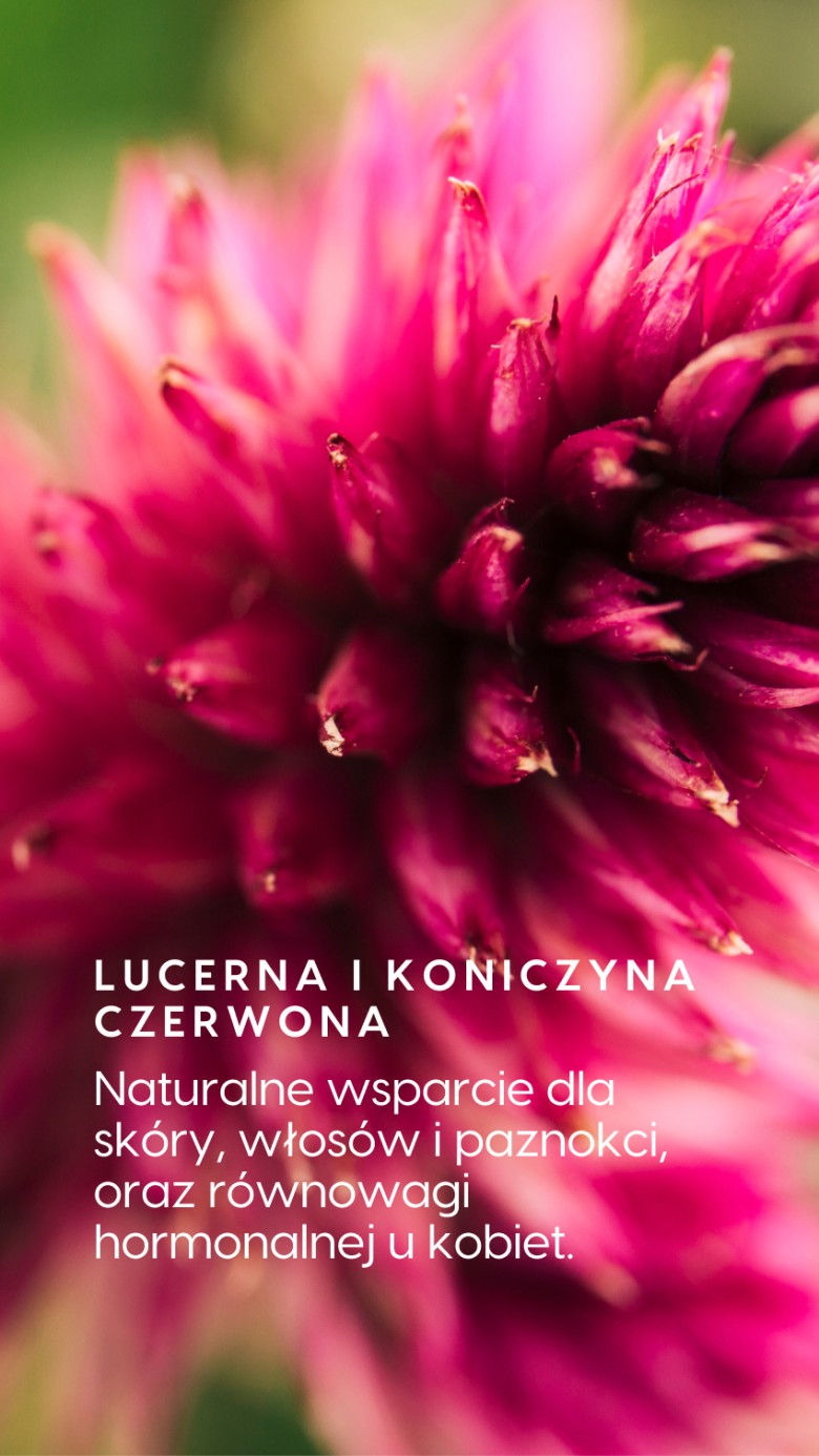 Multi ON Ziołowy - Cytryna + Alfalfa + Herbata assamska na witalność - płyn