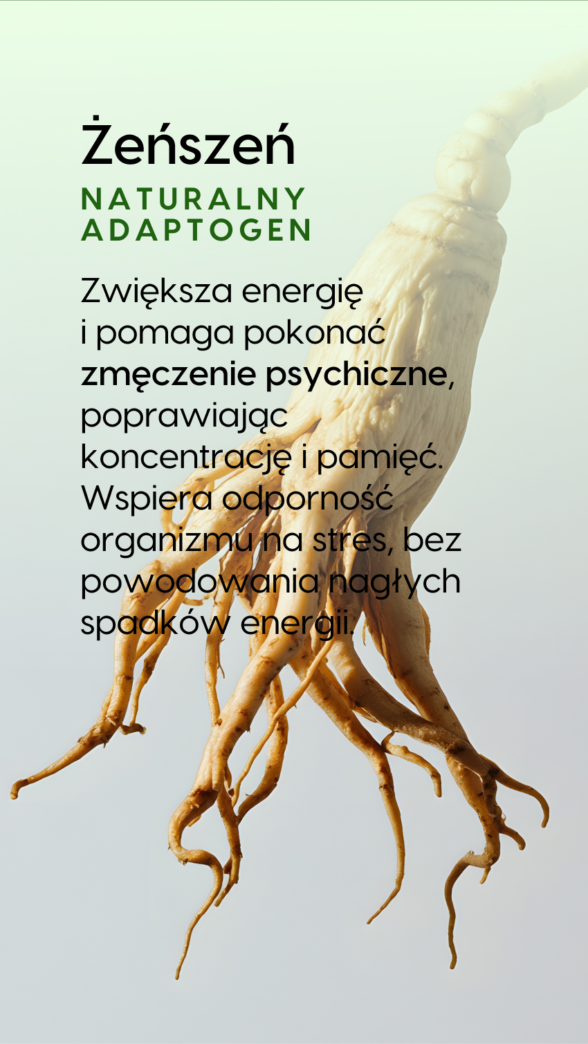 Multi ON Ziołowy - Cytryna + Alfalfa + Herbata assamska na witalność - płyn — story 5