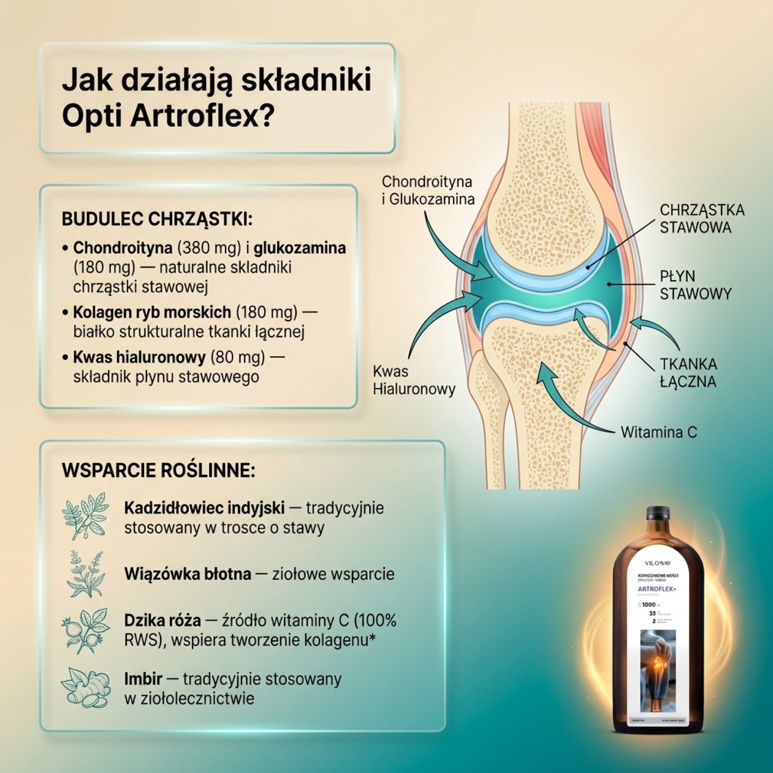 Artroflex - Chondroityna + Opti Artis + Kolagen + Kadzidłowiec - syrop