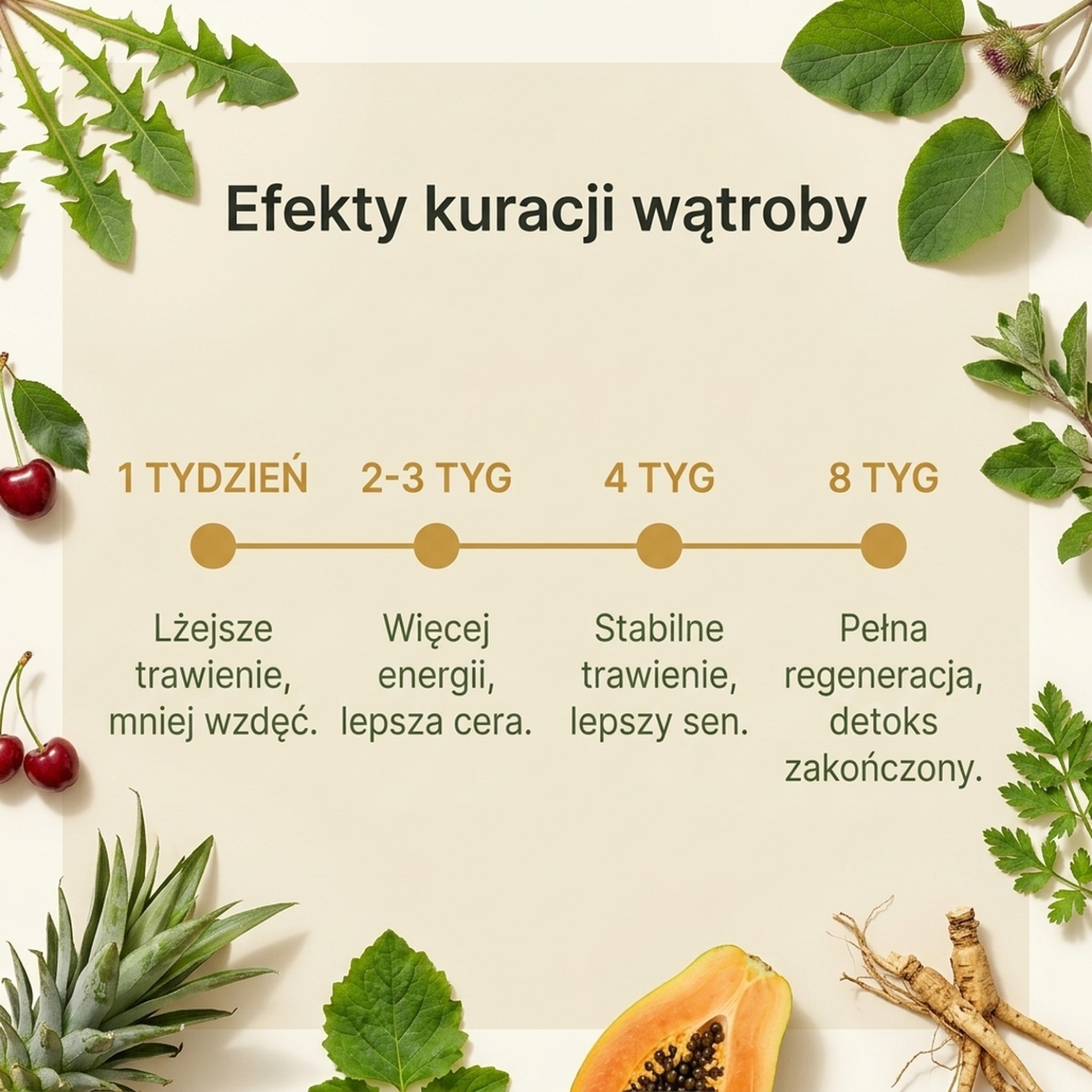 Liver+ - Mniszek + Katuka + Łopian na wsparcie wątroby