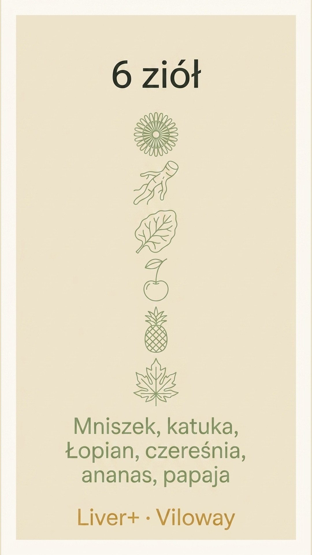Liver+ - Mniszek + Katuka + Łopian na wsparcie wątroby — story 3