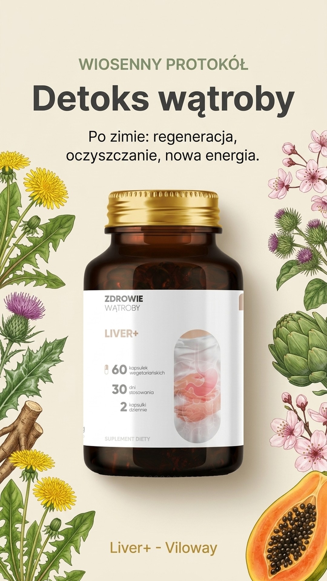 Liver+ - Mniszek + Katuka + Łopian na wsparcie wątroby — story 4