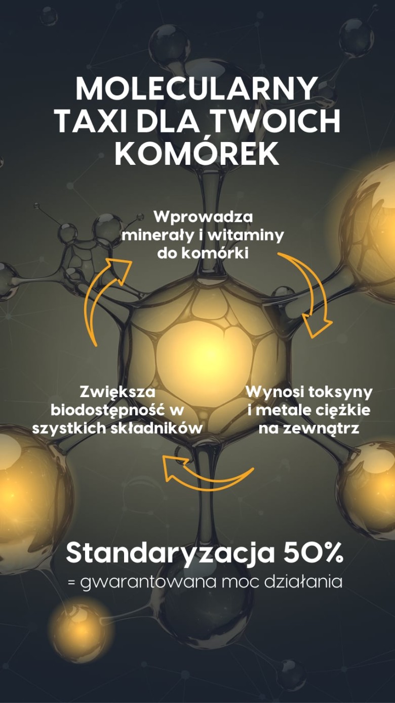 MUMIO+ - Shilajit 50% kwasów fulwowych - żelki na regenerację