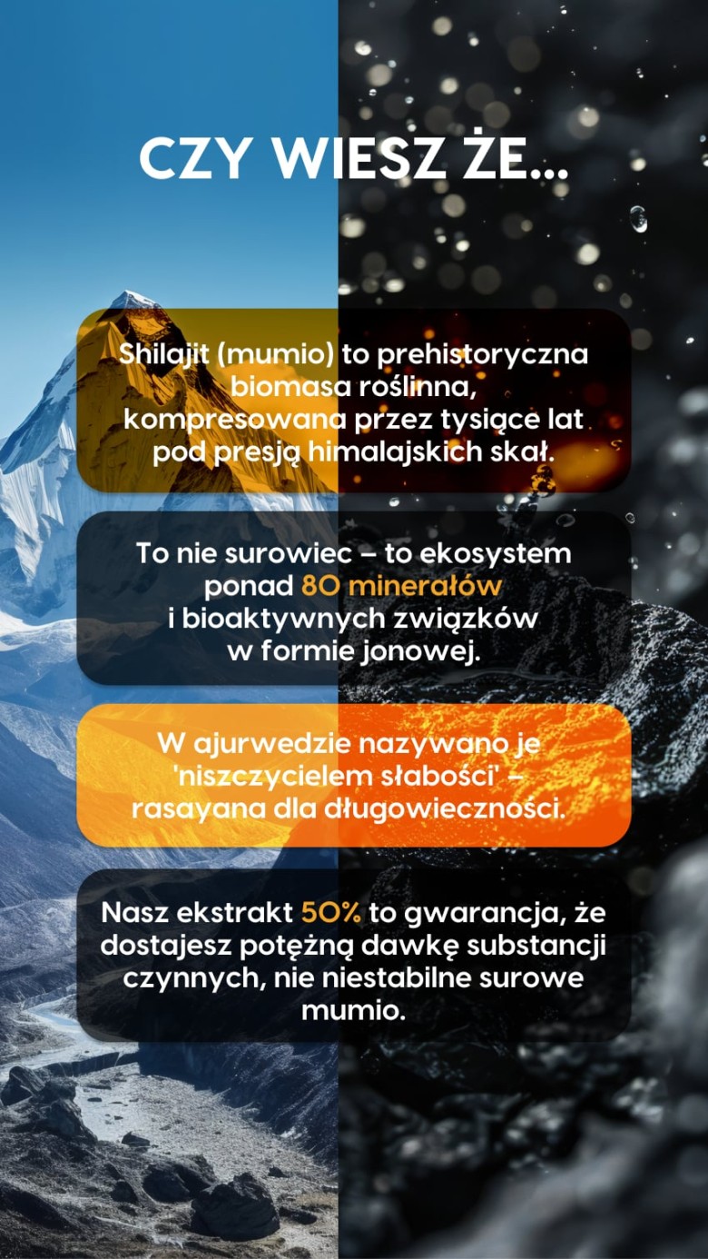 MUMIO+ - Shilajit 50% kwasów fulwowych - żelki na regenerację