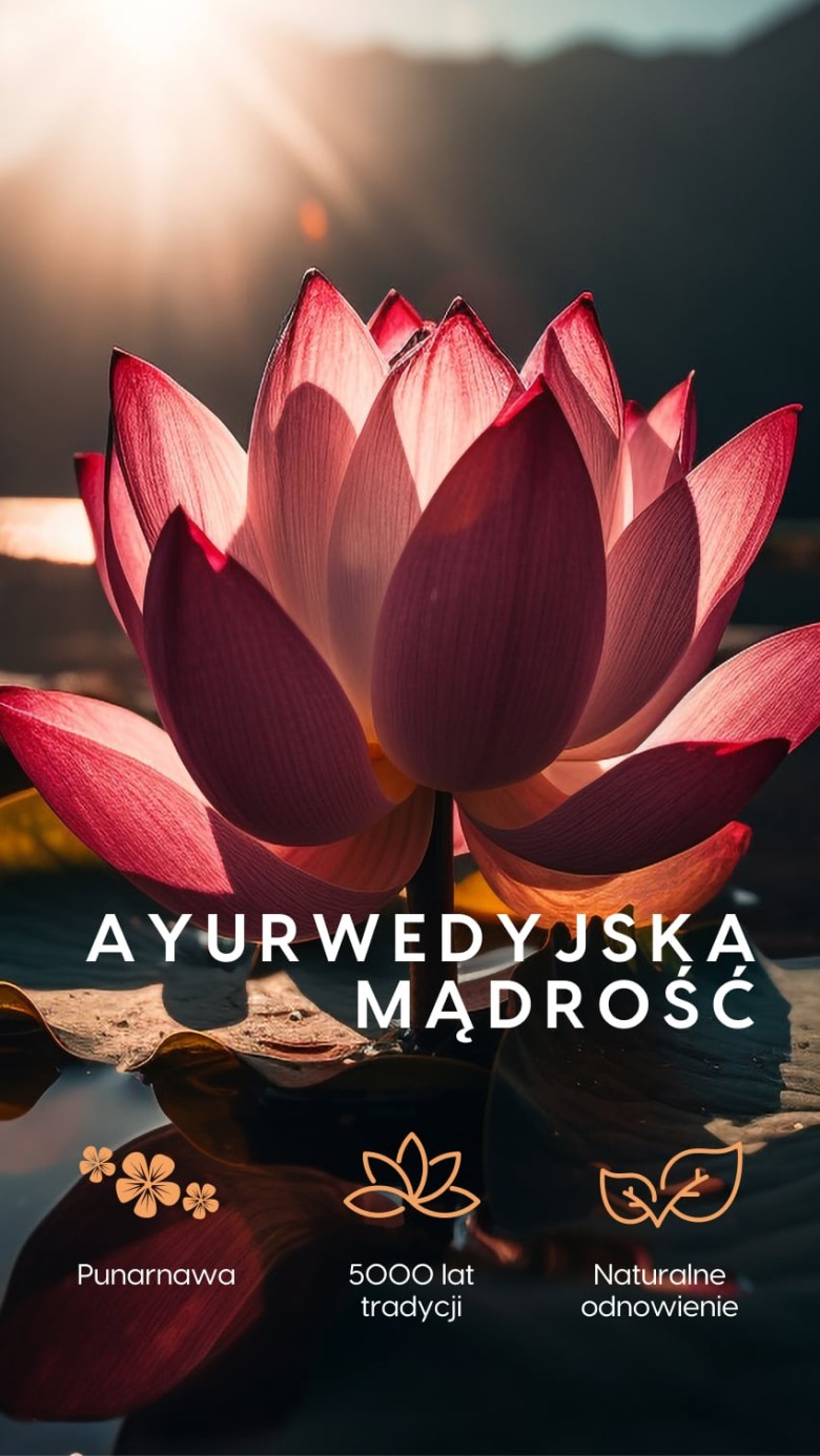 Uro Vitalis - Punarnawa + Pokrzywa + Nasiona dyni na układ moczowy