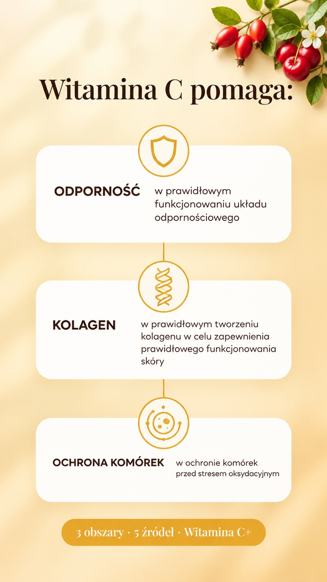 Witamina C+ - dzika róża, acerola i camu camu dla odporności i kolagenu — story 2