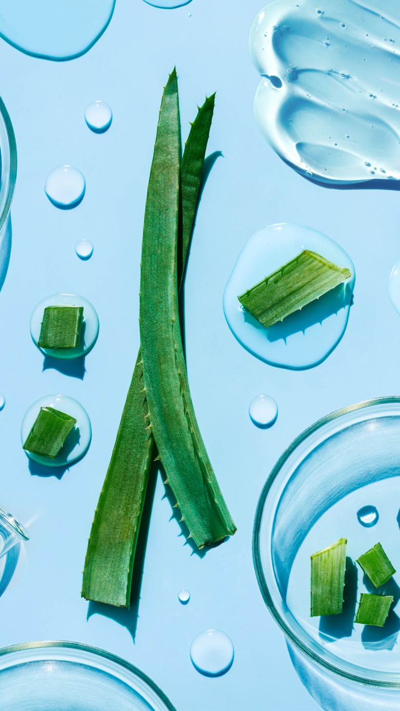 Aloe+ - Sok z aloesu + Dzika róża + Witamina C na trawienie i odporność