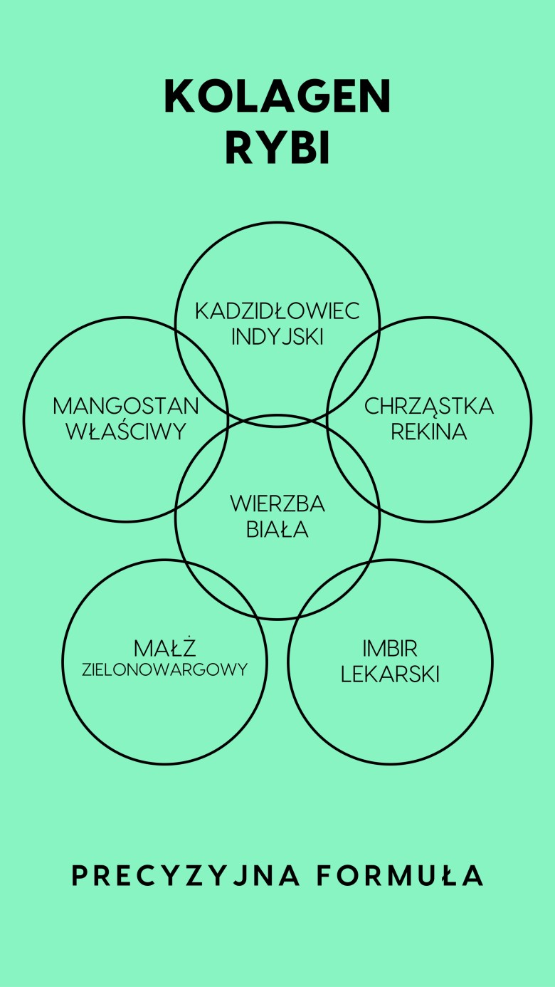 Flexpain+ - Wierzba biała + Kadzidłowiec + Mangostan na zdrowe stawy