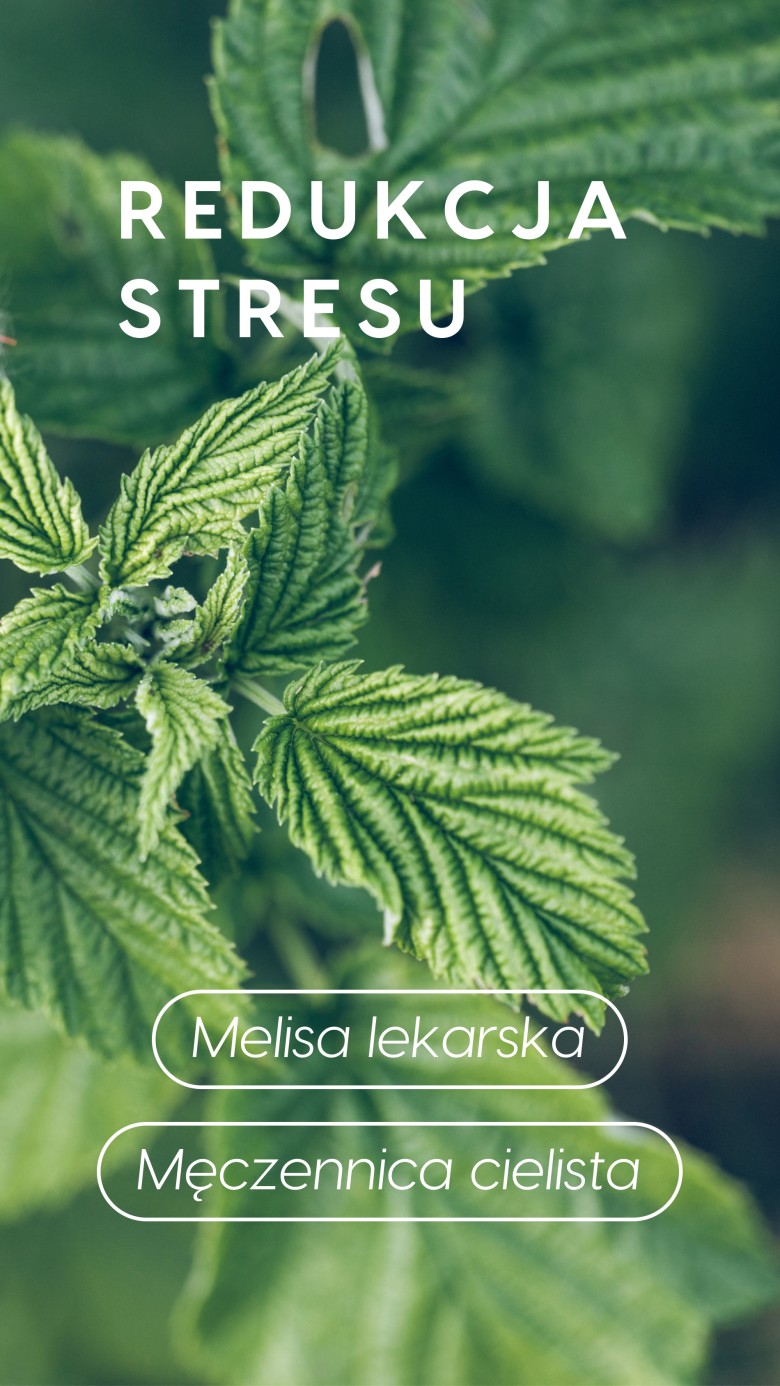 Neurostress+ - Męczennica + Szafran + Inozytol na redukcję stresu