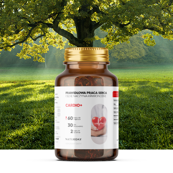 Suplementy diety Viloway - najwyzsze stezenia skladnikow aktywnych na rynku